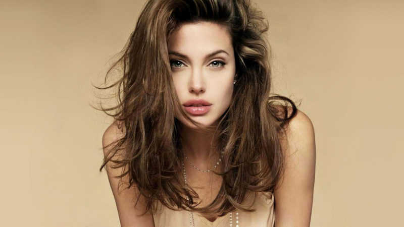 Five Things To Know About Gorgeous And Multitalented Angelina Jolie