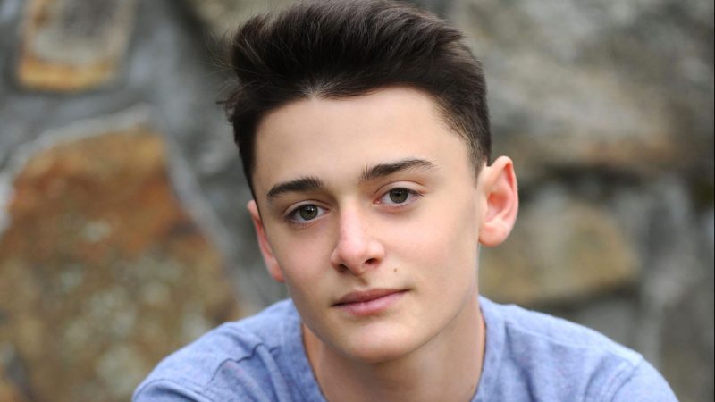 Is Noah Schnapp Dating?
