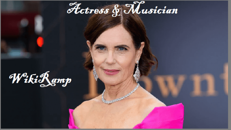 Elizabeth McGovern’s Career & Biography